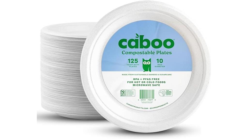 disposable bamboo plate set