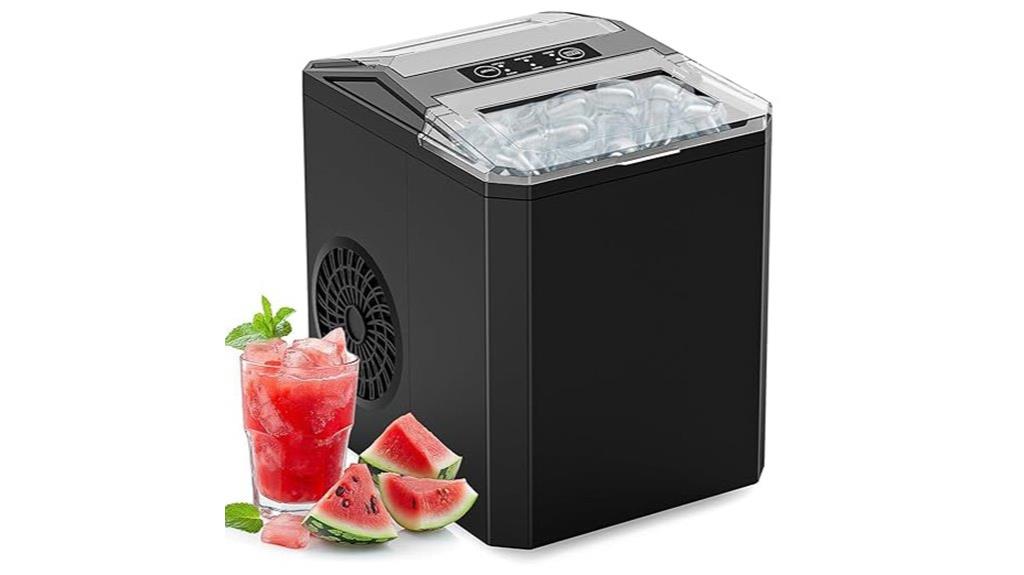 fast self cleaning ice maker