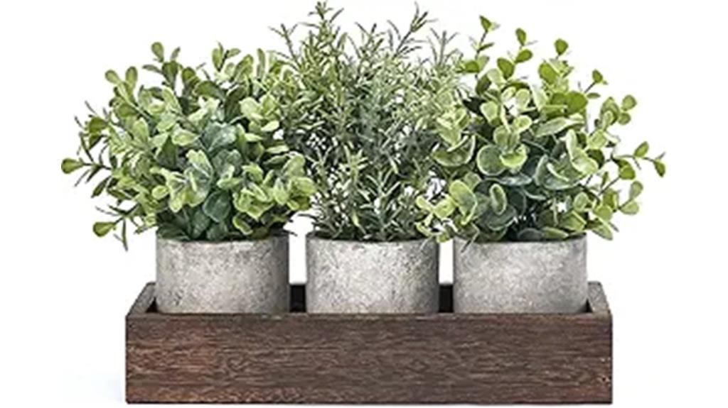 mini eucalyptus plant centerpiece