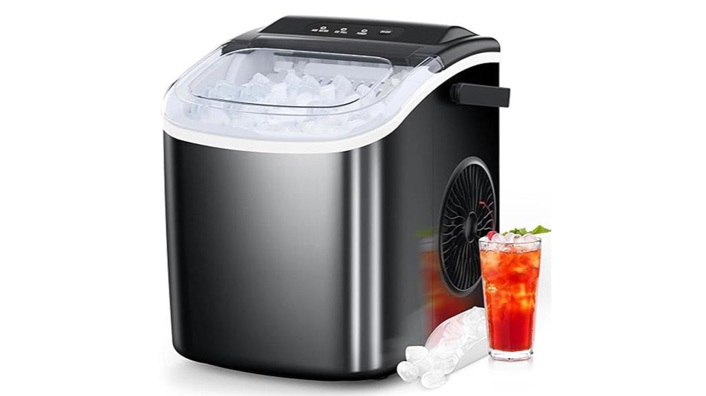 portable ice maker self cleaning