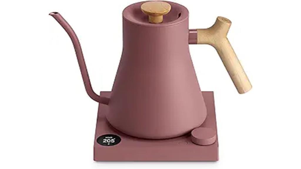 premium electric gooseneck kettle