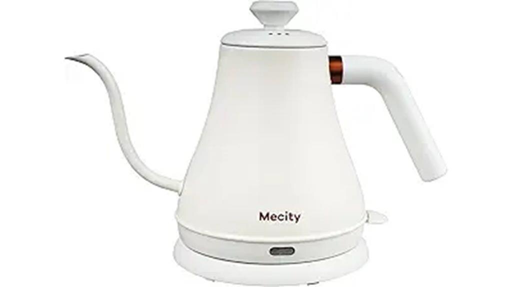 stainless steel gooseneck kettle