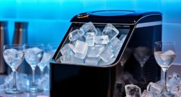 top rapid ice makers