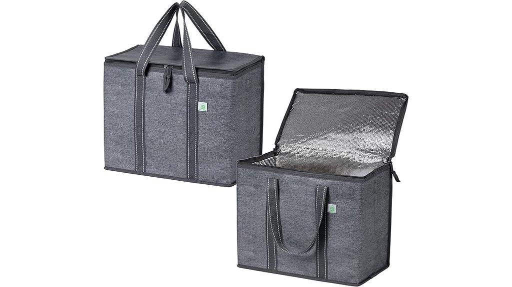 two pack food cooler bags