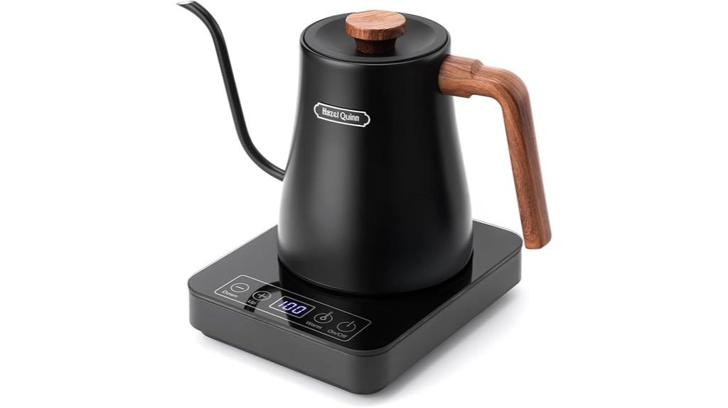 small adjustable temperature kettle
