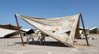 wind destroys cheap canopies