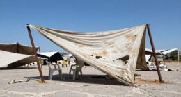 wind destroys cheap canopies