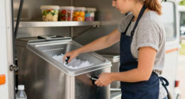 11 Best Ice Makers With Storage Bin For Food Trucks In 2026