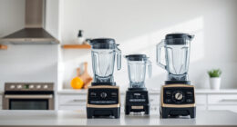 Vitamix 5200 vs Vitamix Ascent X5: Which Blender Fits Your Needs?