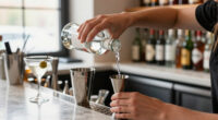 5 Best Vodka for Martinis in 2026