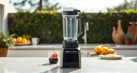 Ninja Blast Max Portable Blender: The Perfect Summer Companion