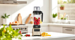 Stay Cool This Summer with the Ninja Blast Max Portable Blender