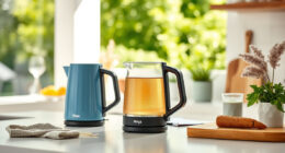 Summer Care & Troubleshooting for Ninja KT200BL Electric Kettle