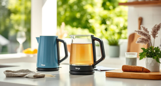 Summer Care & Troubleshooting for Ninja KT200BL Electric Kettle