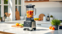 Summer Care & Troubleshooting for the Ninja Professional Blender